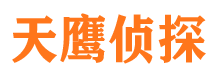 内乡市调查公司